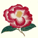 Toyosaburo Galleries